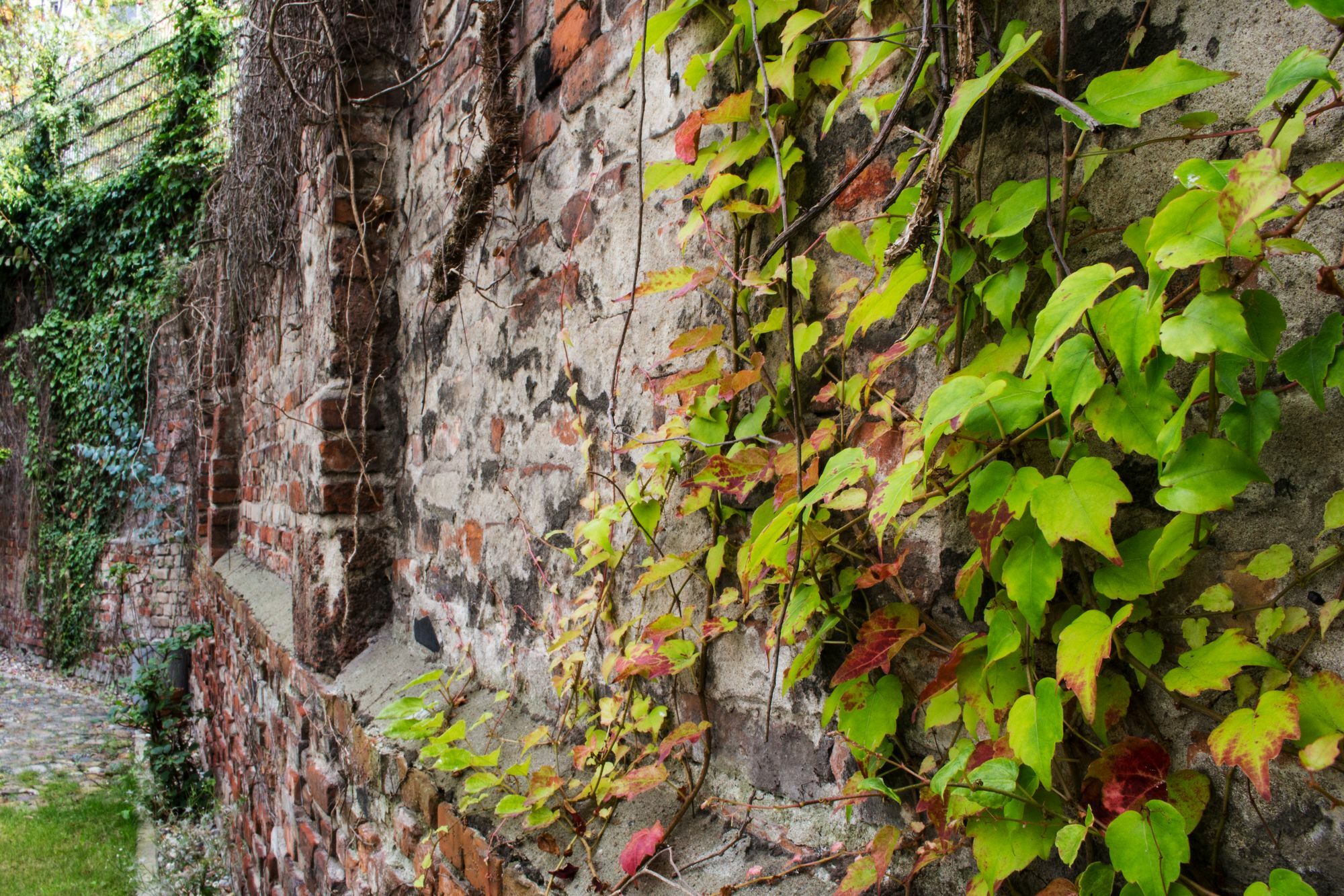 August The Boardinghouse Hamburgo Exterior foto